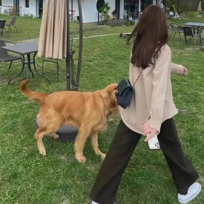 芳心谋杀