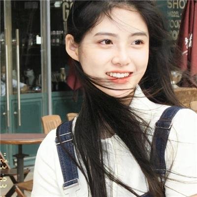 鬣狗之城