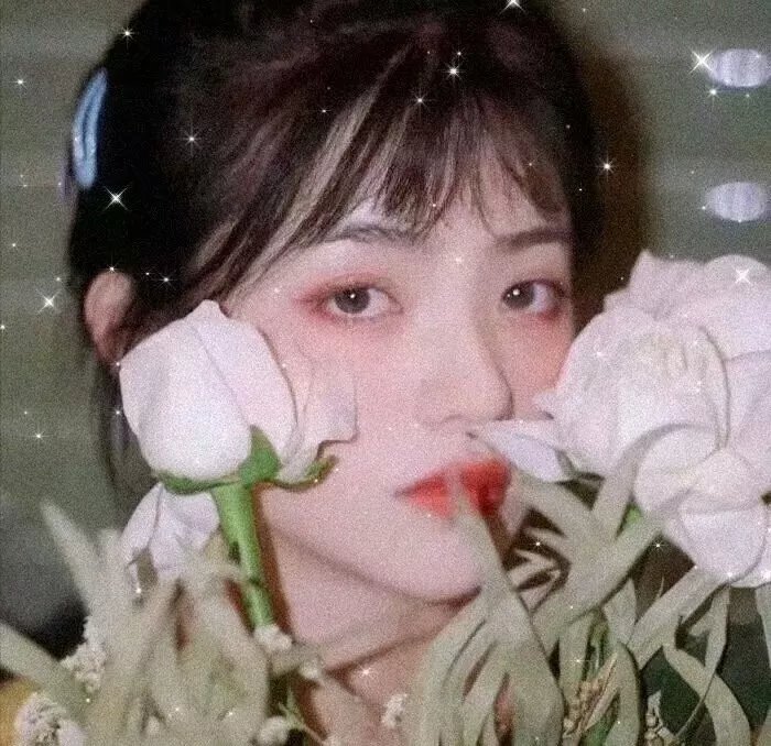 生存回圈